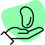 Organ Donation and Transplantation Icon with green Background