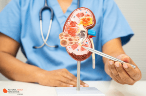 Physician in blue scrubs pointing to kidney diagram